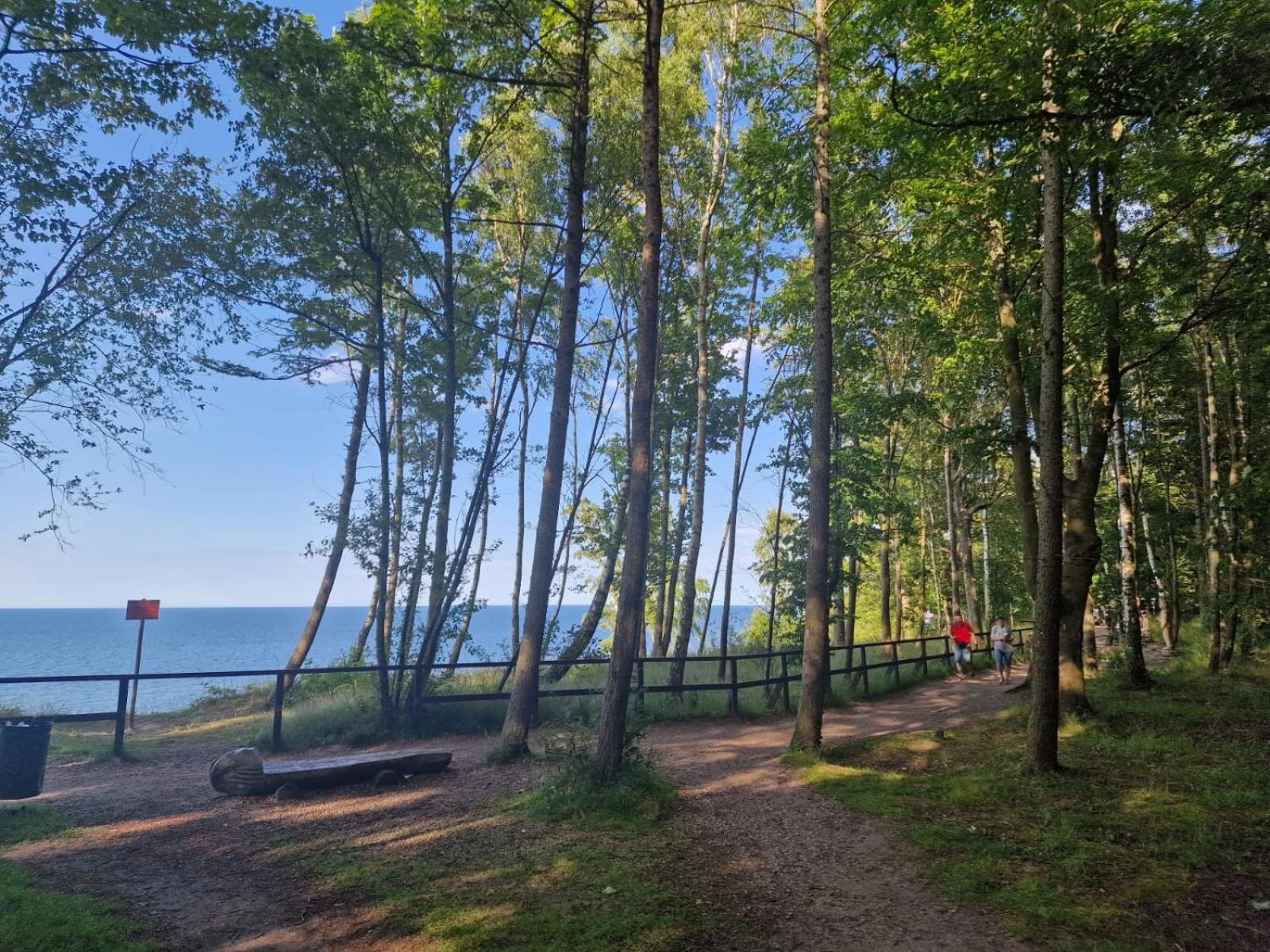 Osrodek Promenada- Domki Jastrzębia Góra المظهر الخارجي الصورة